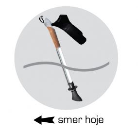 nordijska palica smer hoje
