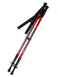 model 55 splet